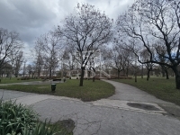 Budapest XV. kerület Lakás (panel)