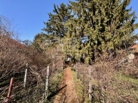 Diósd Telek