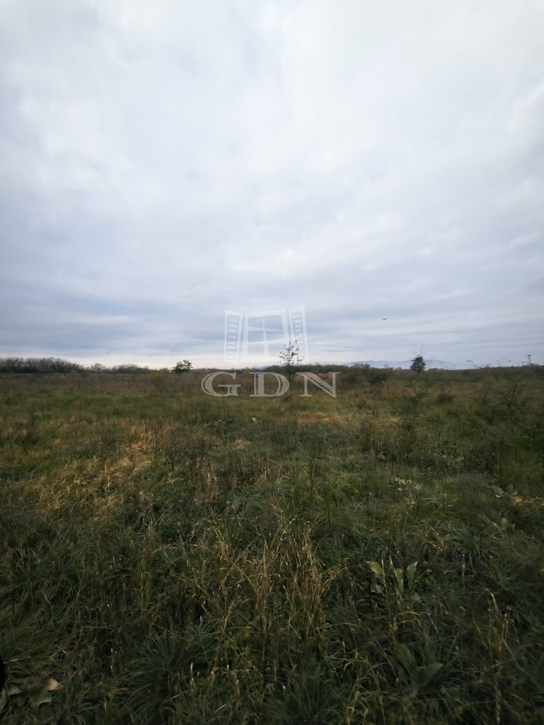 For sale Csomád Agricultural area