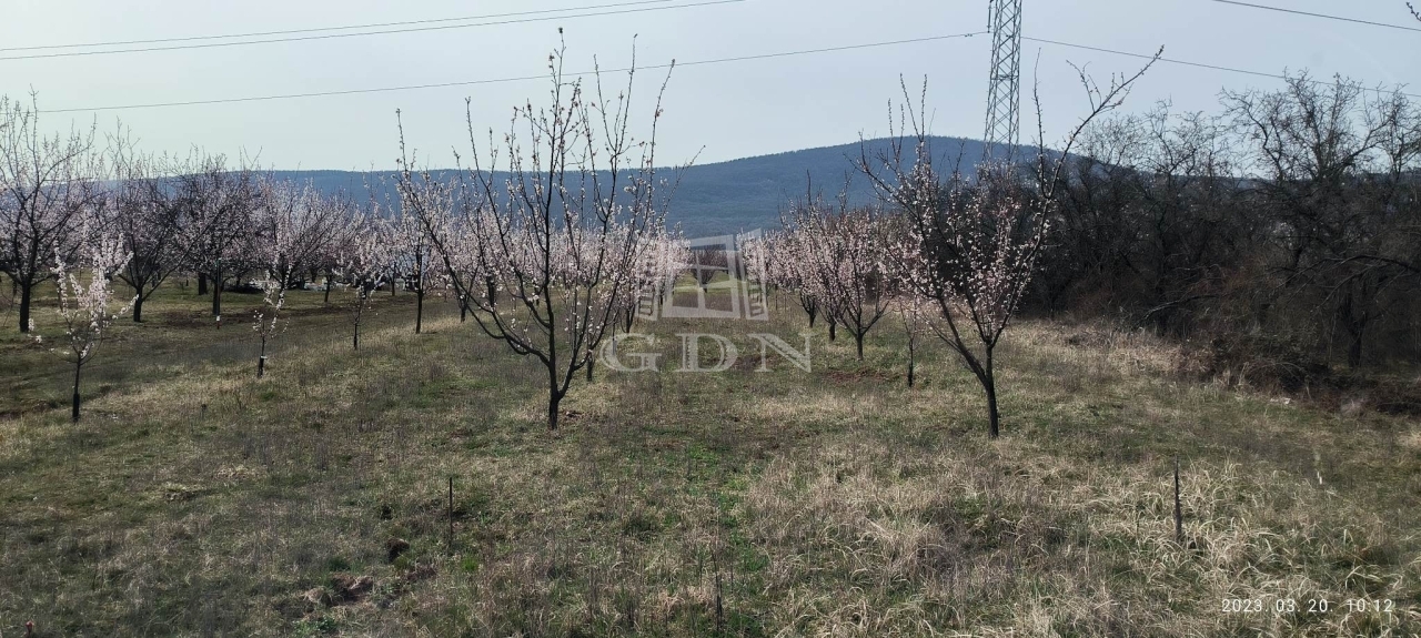 Продается Pomáz Земля сельскохозяйственного назначения