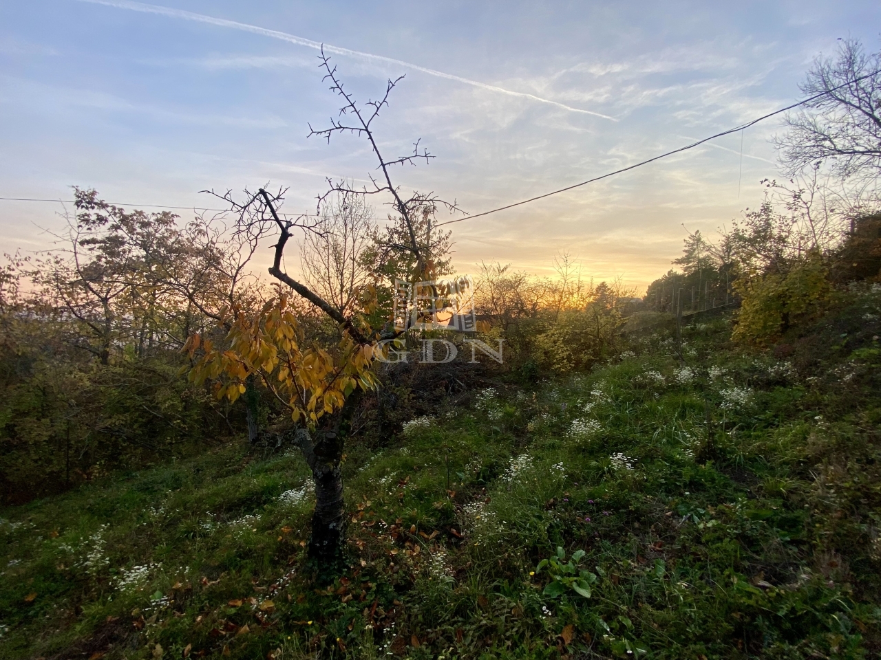 Vânzare Budaörs Teren pentru constructii